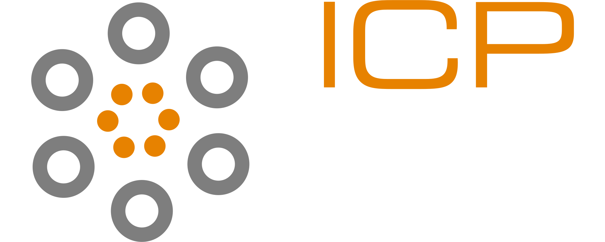 IT Consulting & Partner Logo